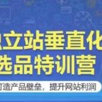独立站垂直化选品特训营，打造产品壁垒，提升网站利润-梦帆创业网