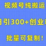 （10186期）批量可复制！视频号纯搬运日引300+创业粉教程！-梦帆创业网