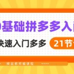 （10299期）新人0基础拼多多入门，​纯小白快速入门多多（21节课）-梦帆创业网