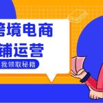 Tk跨境电商店铺运营：选品策略与流量变现技巧，助力跨境商家成功出海-梦帆创业网