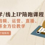 国学/玄学/线上IP陪跑课程，从0-1全方位教学，快速发展数百个矩阵号-梦帆创业网