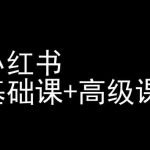 小红书基础课+高级课-小红书运营教程-梦帆创业网