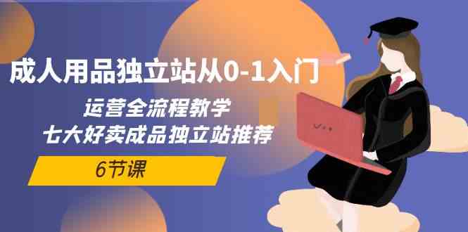 （10082期）成人用品独立站从0-1入门，运营全流程教学，七大好卖成品独立站推荐-6节课-梦帆创业网