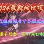 （10182期）2024年新风口，视频号分成2.0计划，多种玩法打爆视频号，每日轻松2000-梦帆创业网