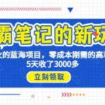 学霸笔记新玩法，最近爆火的蓝海项目，0成本高利润副业，5天收了3000多-梦帆创业网