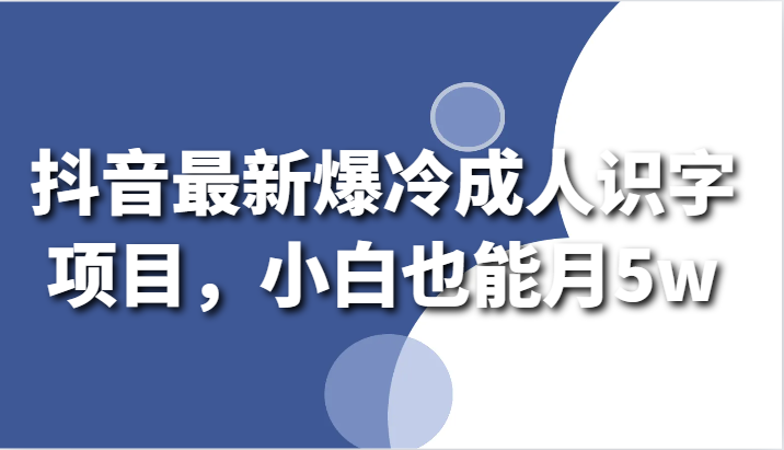 抖音最新爆冷成人识字项目，小白也能月5w-梦帆创业网