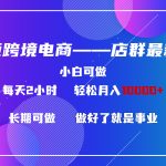 东南亚跨境电商店群新玩法2—小白每天两小时 轻松10000+-梦帆创业网