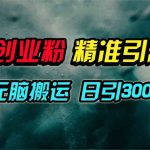（9875期）视频号纯搬运日引300+创业粉教程！-梦帆创业网