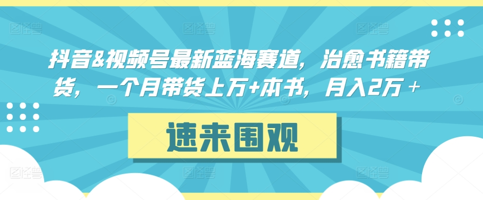 抖音&视频号最新蓝海赛道，治愈书籍带货，一个月带货上万+本书，月入2万＋-梦帆创业网