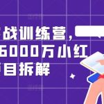 小红书实战训练营，从0到1，6000万小红书项目拆解-梦帆创业网