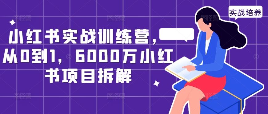 小红书实战训练营，从0到1，6000万小红书项目拆解-梦帆创业网