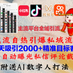 （12786期）小红书，抖音，视频号，快手主流平台全域引流，截流自热引爆私域流量，…-梦帆创业网