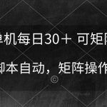 （10100期）单机每日30＋ 可矩阵，脚本自动 稳定躺赚-梦帆创业网