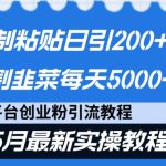 闲鱼复制粘贴日引200+付费创业粉，24年5月最新方法！割韭菜日稳定5000+收益-梦帆创业网