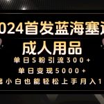 2024首发蓝海塞道成人用品，月入10W+保姆教程-梦帆创业网