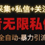 抖音无限私信机！采集+私信+关注，全自动暴力引流！-梦帆创业网