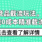 拼多多竞品截流玩法，新手也能0成本精准截流-梦帆创业网