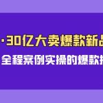 亚马逊30亿大卖爆款新品推广，可复制、全程案例实操的爆款推新SOP-梦帆创业网
