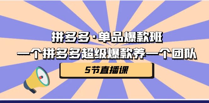 拼多多·单品爆款班，一个拼多多超级爆款养一个团队（5节直播课）-梦帆创业网
