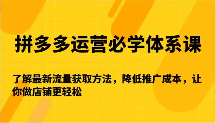 拼多多运营必学体系课-了解最新流量获取方法，降低推广成本，让你做店铺更轻松-梦帆创业网