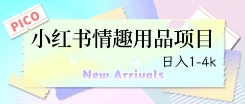 最新小红书情趣用品项目，日入1-4k-梦帆创业网