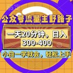 （12866期）公众号流量主野路子玩法，一天20分钟，日入300~400，小白一学就会-梦帆创业网