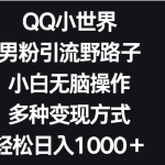 QQ小世界男粉引流野路子，小白无脑操作，多种变现方式轻松日入1000＋-梦帆创业网