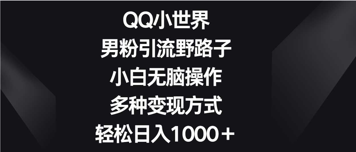 QQ小世界男粉引流野路子，小白无脑操作，多种变现方式轻松日入1000＋-梦帆创业网