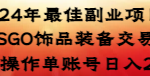 2024年最佳副业项目 CSGO饰品装备交易 轻易操作单账号日入200+-梦帆创业网