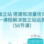 （9156期）独立站 搭建和流量优化，三合一课程解决独立站运营问题（56节课）-梦帆创业网