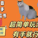 超简单玩法，有手就行，靠猫咪视频日入500+【揭秘】-梦帆创业网
