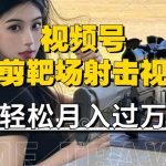 利用海外靶场射击视频，赚视频号分成收益，操作简单，适合宝妈，上班族【揭秘】-梦帆创业网