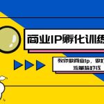 商业IP-孵化训练营新版，教你做商业Ip，做好人设，流量搞好钱-梦帆创业网