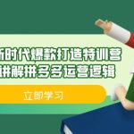 拼多多·新时代爆款打造特训营，全维度讲解拼多多运营逻辑（21节课）-梦帆创业网