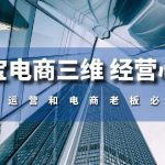 （10761期）淘宝电商三维 经营心法：电商运营和电商老板必看课（59节课）-梦帆创业网