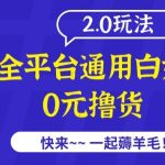 外面收费2980的全平台通用白嫖撸货项目2.0玩法【仅揭秘】-梦帆创业网