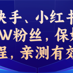 教你一招，抖音、快手、小红书30S突破100W粉丝，保姆级教程，亲测有效-梦帆创业网