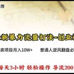 （10151期）2024年最新暴力流量打法，每日导入300+，靠卖项目月入10W+-梦帆创业网