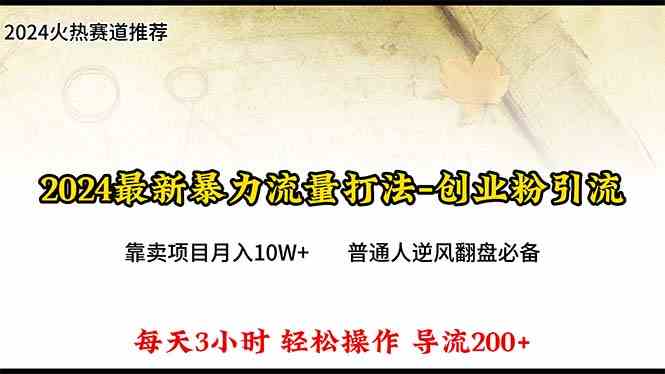 （10151期）2024年最新暴力流量打法，每日导入300+，靠卖项目月入10W+-梦帆创业网