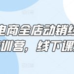 淘系电商全店动销经营模式特训营，线下课录音-梦帆创业网