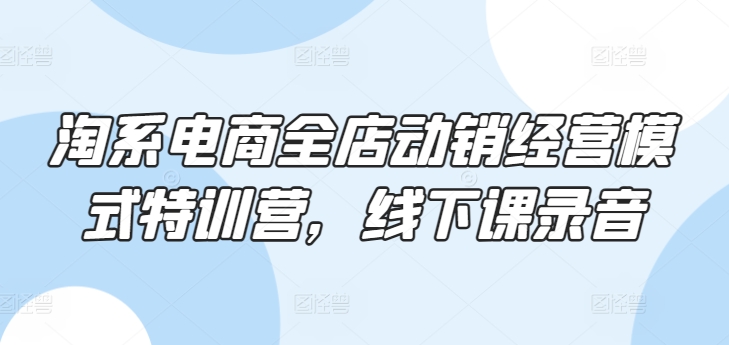 淘系电商全店动销经营模式特训营，线下课录音-梦帆创业网