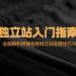 （12882期）独立站入门指南：从选品到建站，全面解析跨境电商独立站运营技巧与爆品…-梦帆创业网