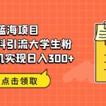 蓝海项目，免费资料引流大学生粉一部手机实现日入300+-梦帆创业网