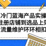 （9527期）拼系冷门蓝海产品实操课程，从注册店铺到选品上架到流量维护环环相扣-梦帆创业网