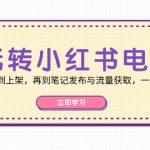 （12916期）玩转小红书电商：从选品到上架，再到笔记发布与流量获取，一站式指南-梦帆创业网