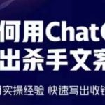 如何用ChatGPT写出杀手文案，6个月实操经验，快速写出收钱文案-梦帆创业网