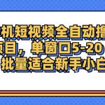 （12898期）手机短视频掘金项目，单窗口单平台5-20 可批量适合新手小白-梦帆创业网