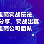 最新系统电商实战玩法，31天实战分享，实战出真知，培训电商公司团队-梦帆创业网