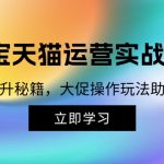 （12959期）淘宝&天猫运营实战课程，传授流量提升秘籍，大促操作玩法助你销量飙升-梦帆创业网