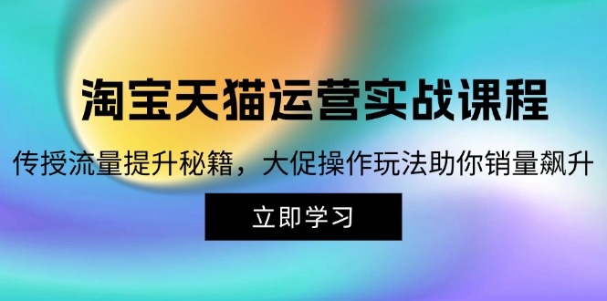 （12959期）淘宝&天猫运营实战课程，传授流量提升秘籍，大促操作玩法助你销量飙升-梦帆创业网